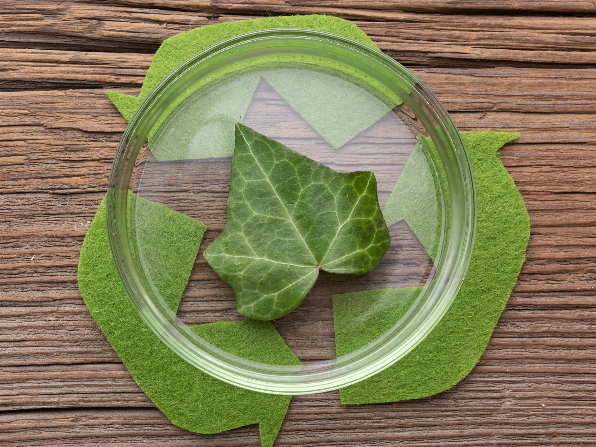 Optical and Glass Industry