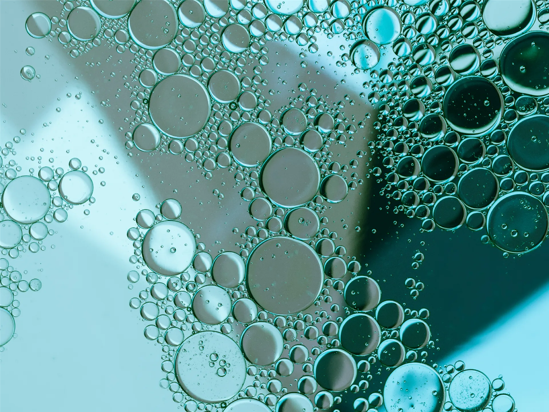 Pharmaceutical and Cosmetic Products Industry