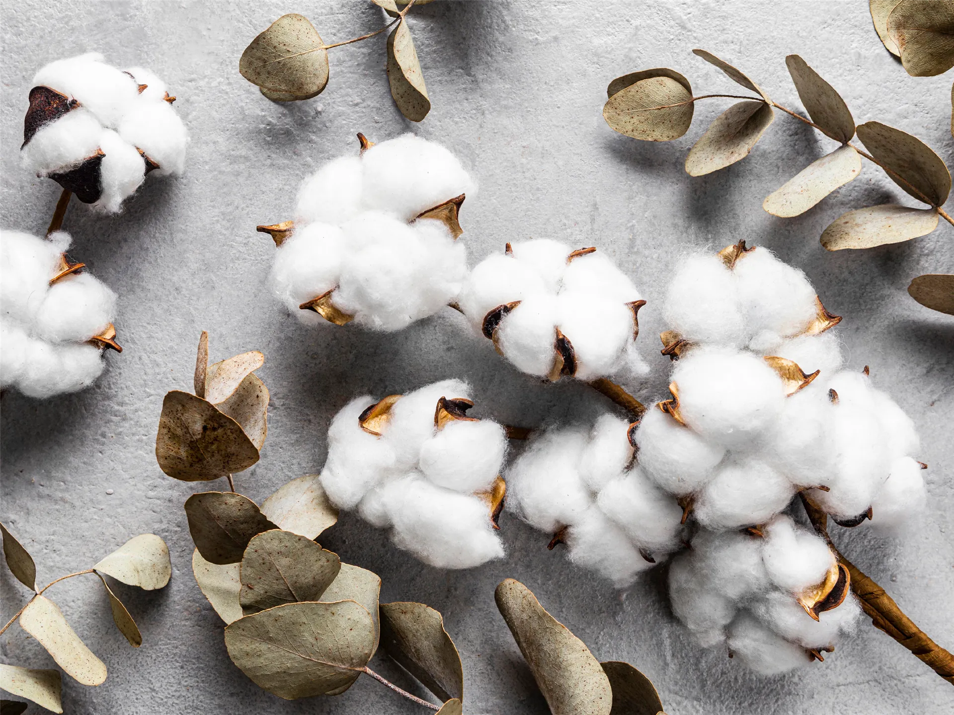 Paint and Coating Industry